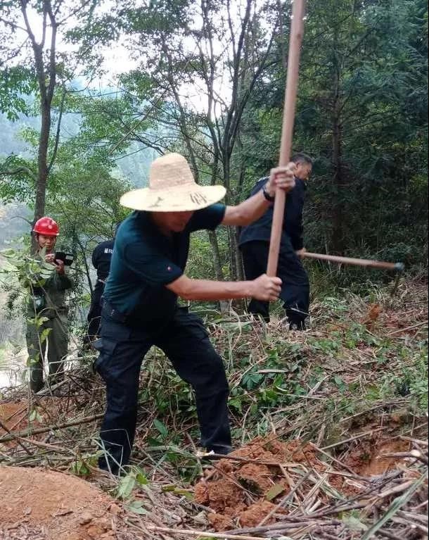 干好每一天|青山掛白我復綠，無私奉獻金森人——資源保護部義務突擊隊工作記實