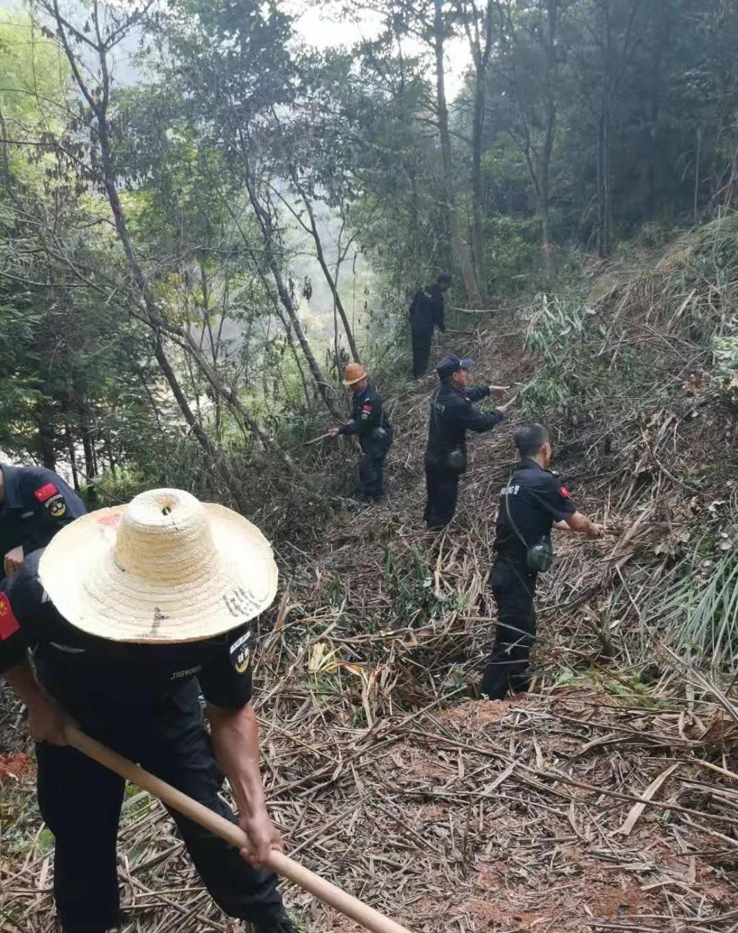 干好每一天|青山掛白我復(fù)綠，無(wú)私奉獻(xiàn)金森人——資源保護(hù)部義務(wù)突擊隊(duì)工作記實(shí)