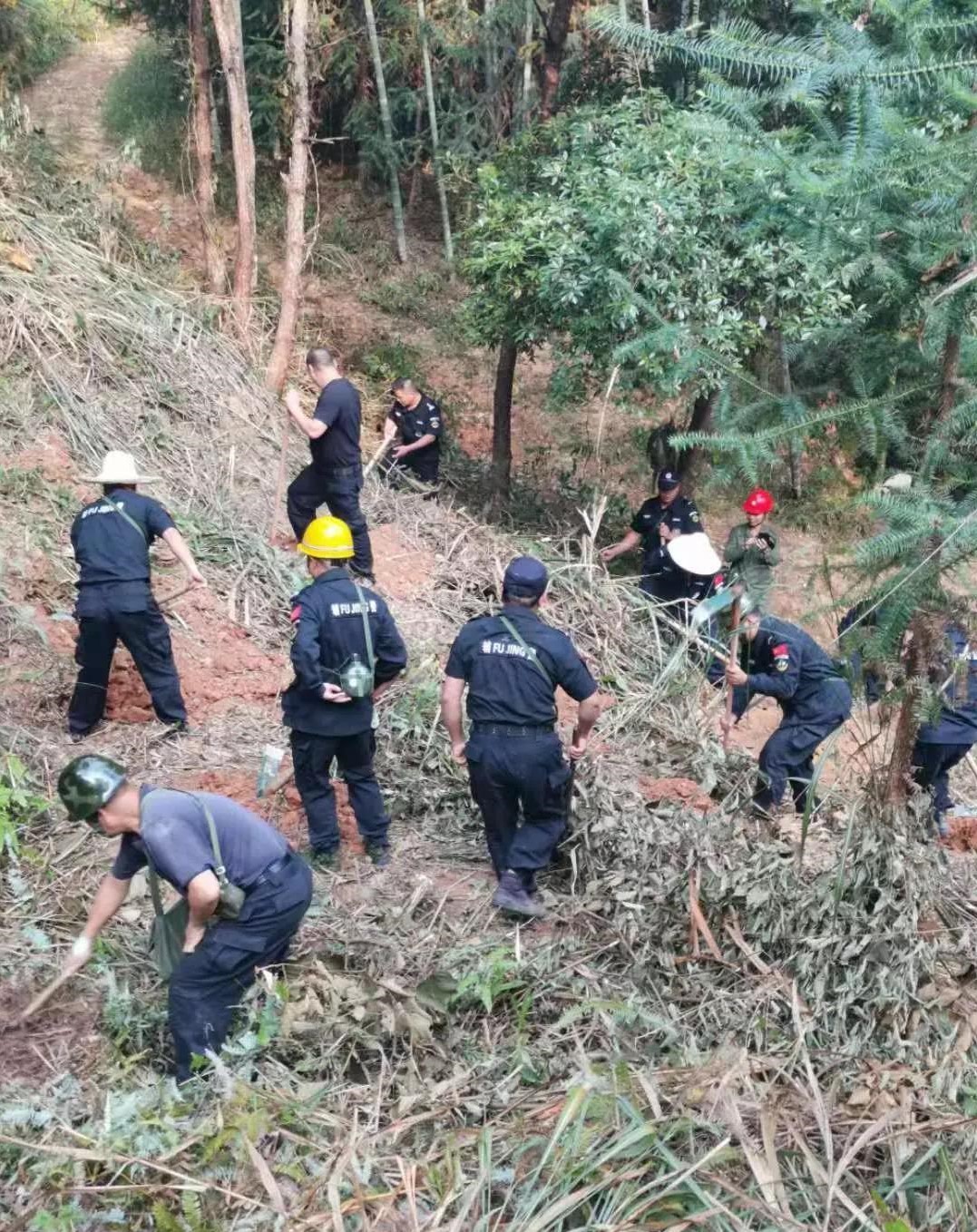 干好每一天|青山掛白我復(fù)綠，無私奉獻(xiàn)金森人——資源保護(hù)部義務(wù)突擊隊工作記實