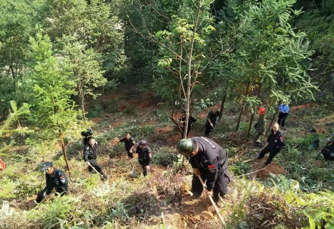 干好每一天|青山掛白我復綠，無私奉獻金森人——資源保護部義務突擊隊工作記實