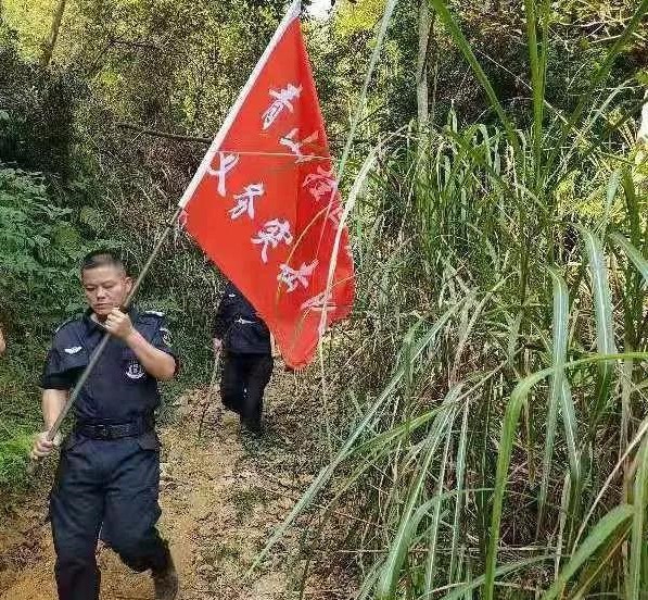 干好每一天|青山掛白我復綠，無私奉獻金森人——資源保護部義務突擊隊工作記實