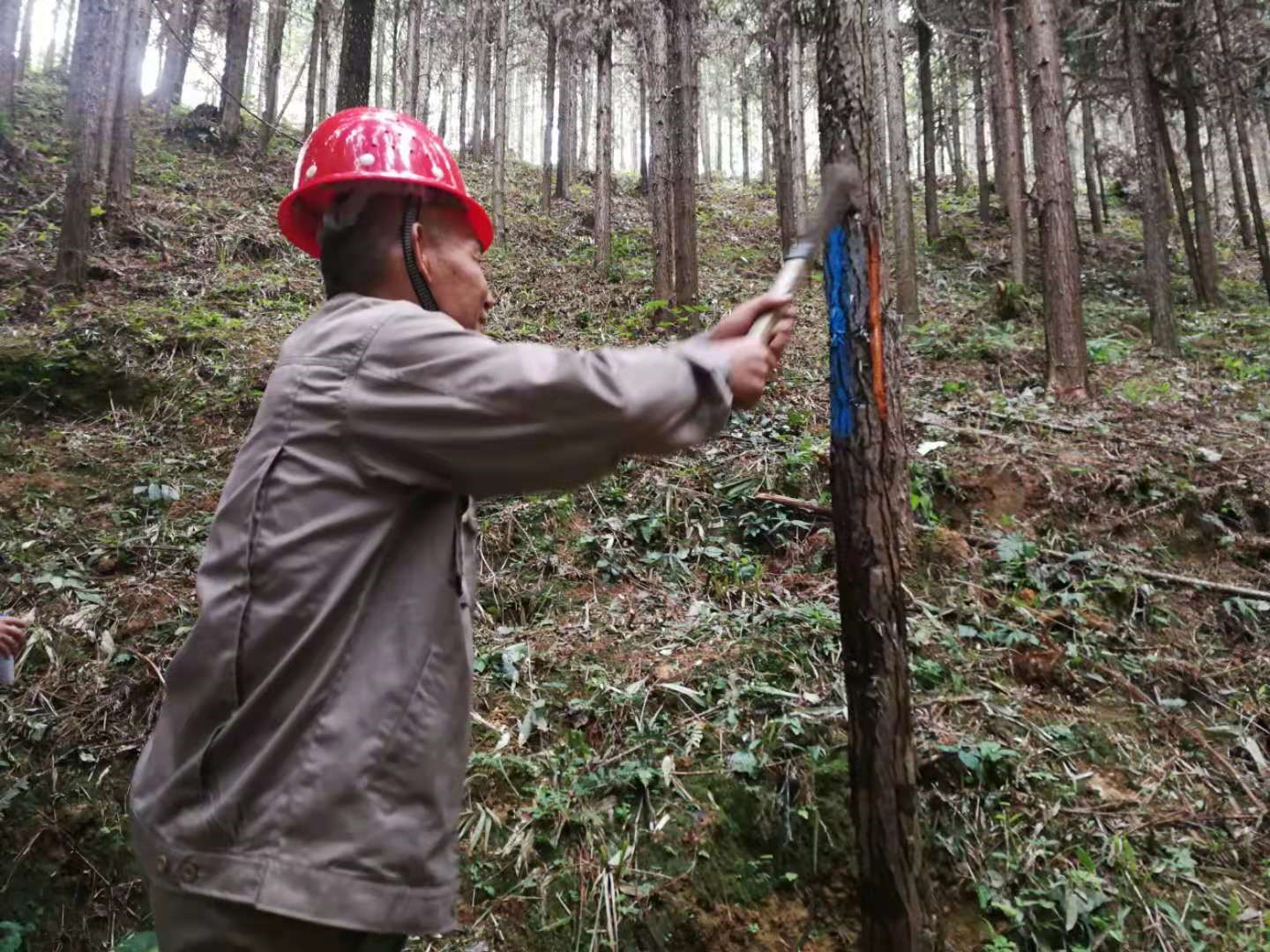 支部結(jié)對共建 促進黨建業(yè)務“雙提升”